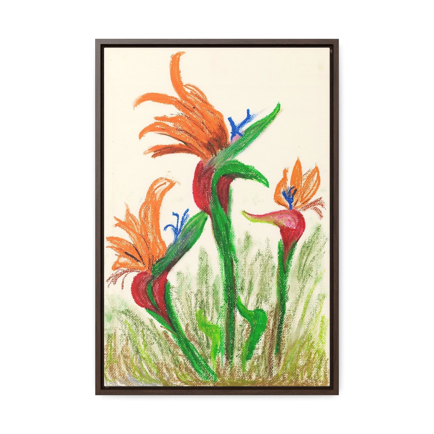 Birds of Paradise