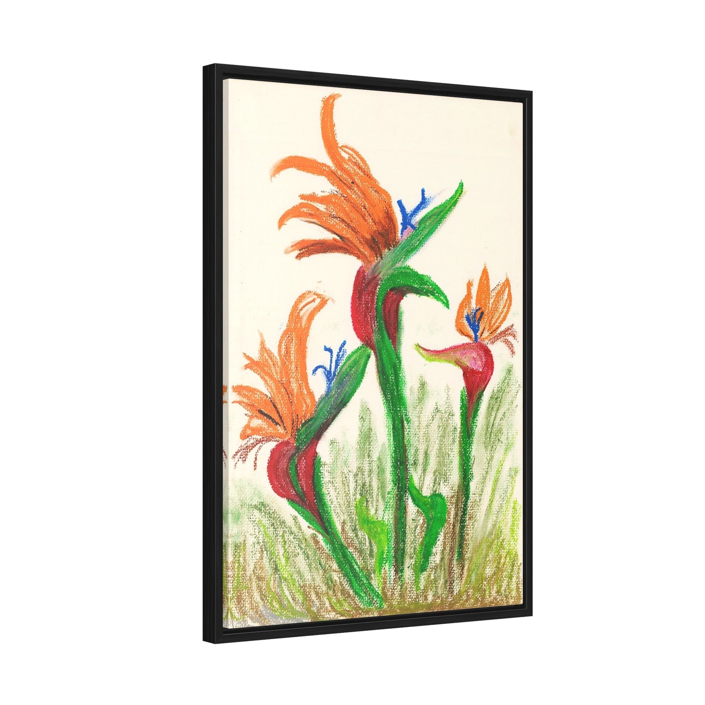 Birds of Paradise