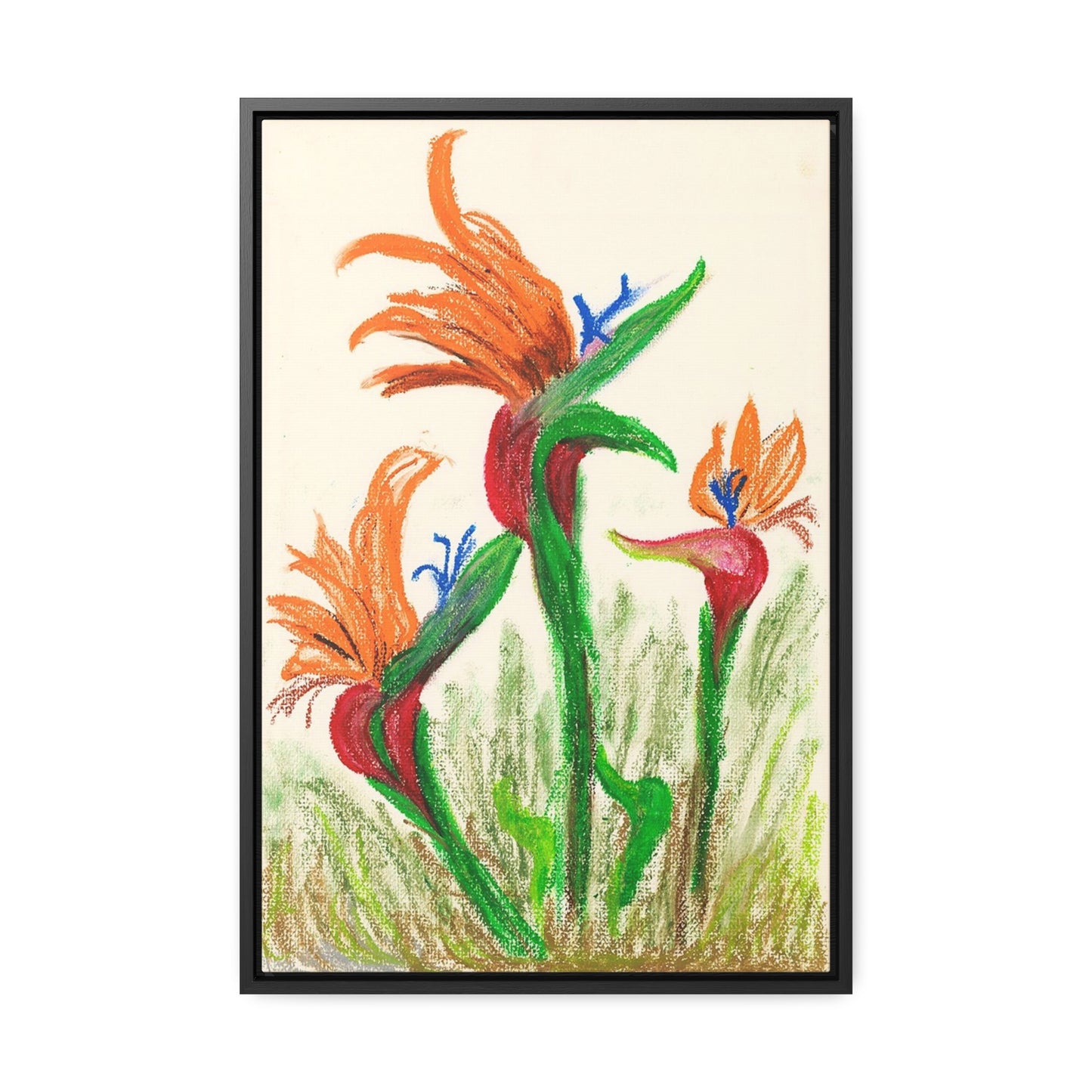 Birds of Paradise