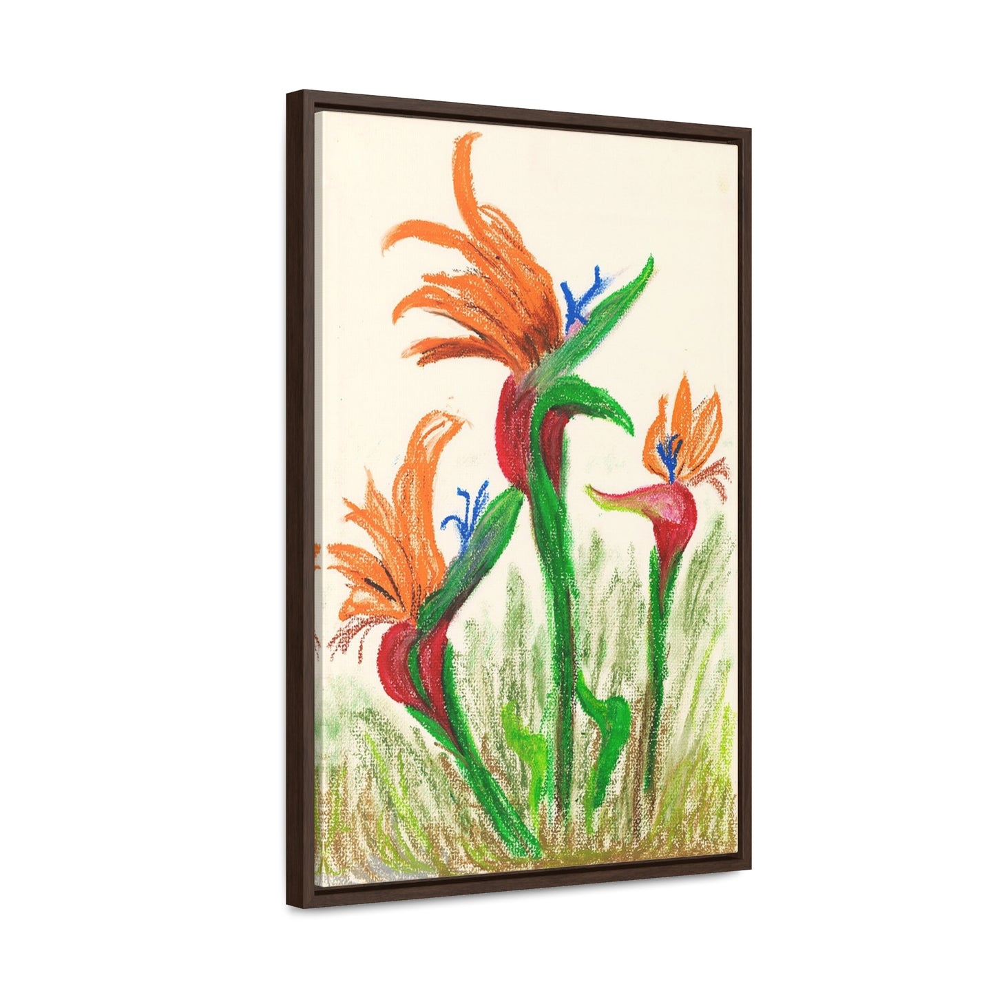 Birds of Paradise