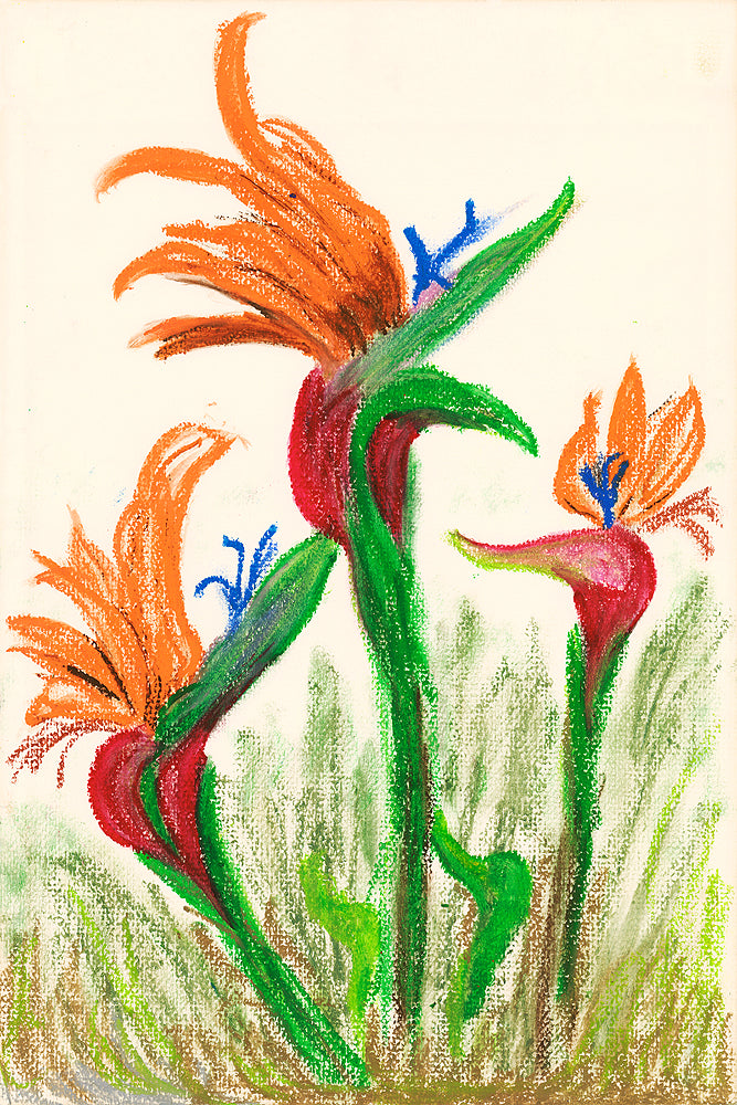 Birds Of Paradise I 18 x12 Print